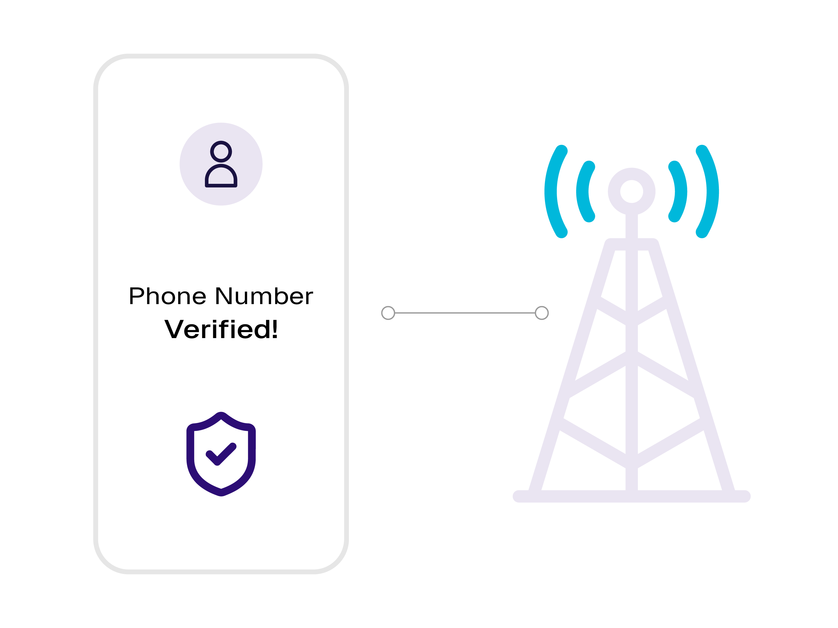 Silent Network Verification